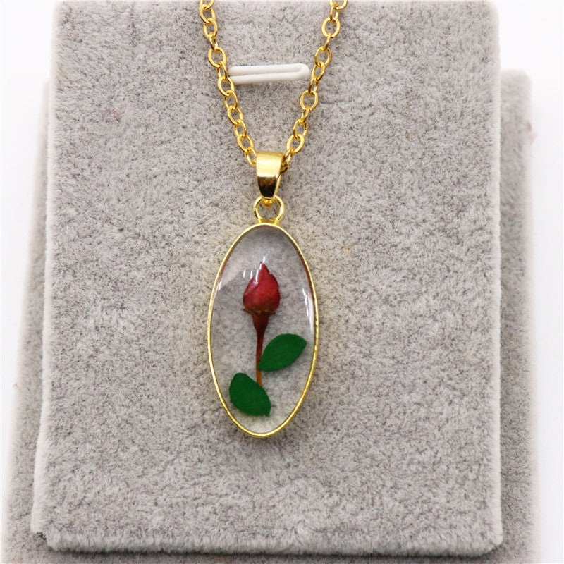 Women's New Eco-friendly Resin Real Dried Flower Necklace Curren